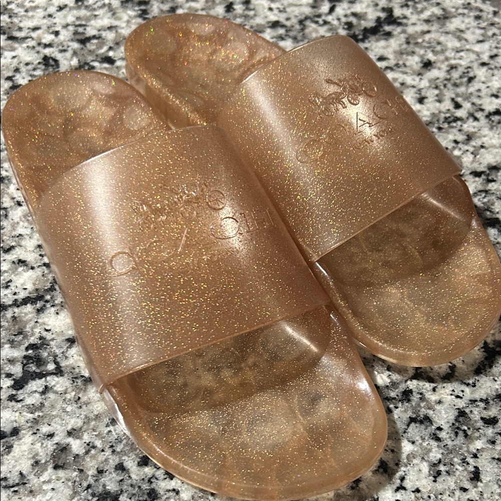 NWT Women’s Sz 10 Coach Ulyssa Metallic Gold Glitter Slides Sandals